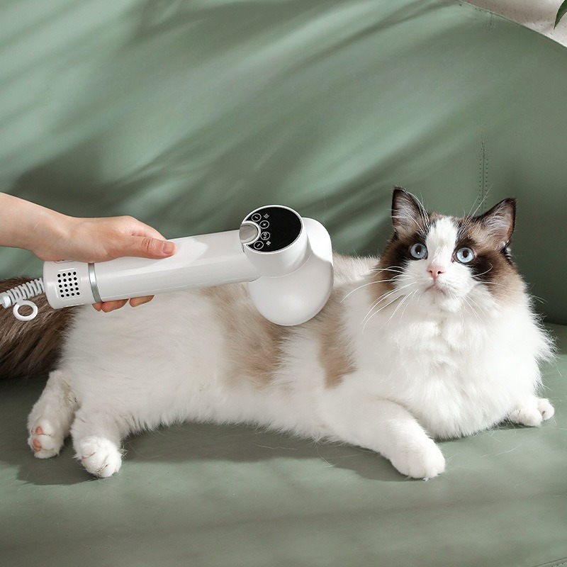 Pet Supplies And More - Pet Akıllı Elektrikli Kurutma Makinesi Profesyonel