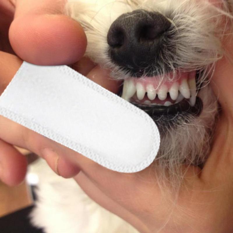 Pet Ear Cleaner - 50 adet önceden düzeltilmiş evcil hayvan
