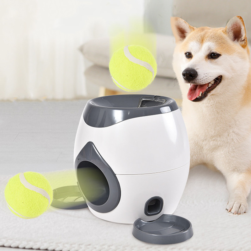 Pet Supplies Rewards - 2'si 1 Arada Köpek Evcil Hayvan