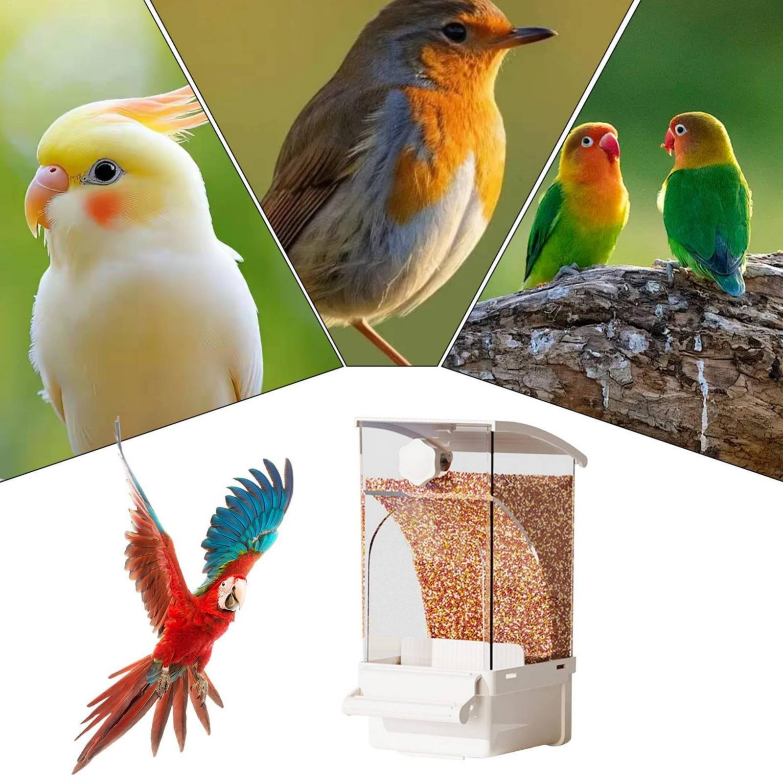 Pet Supplies In - Otomatik Kuş Yemliği Kabuk Ayırıcı Dağınıklık