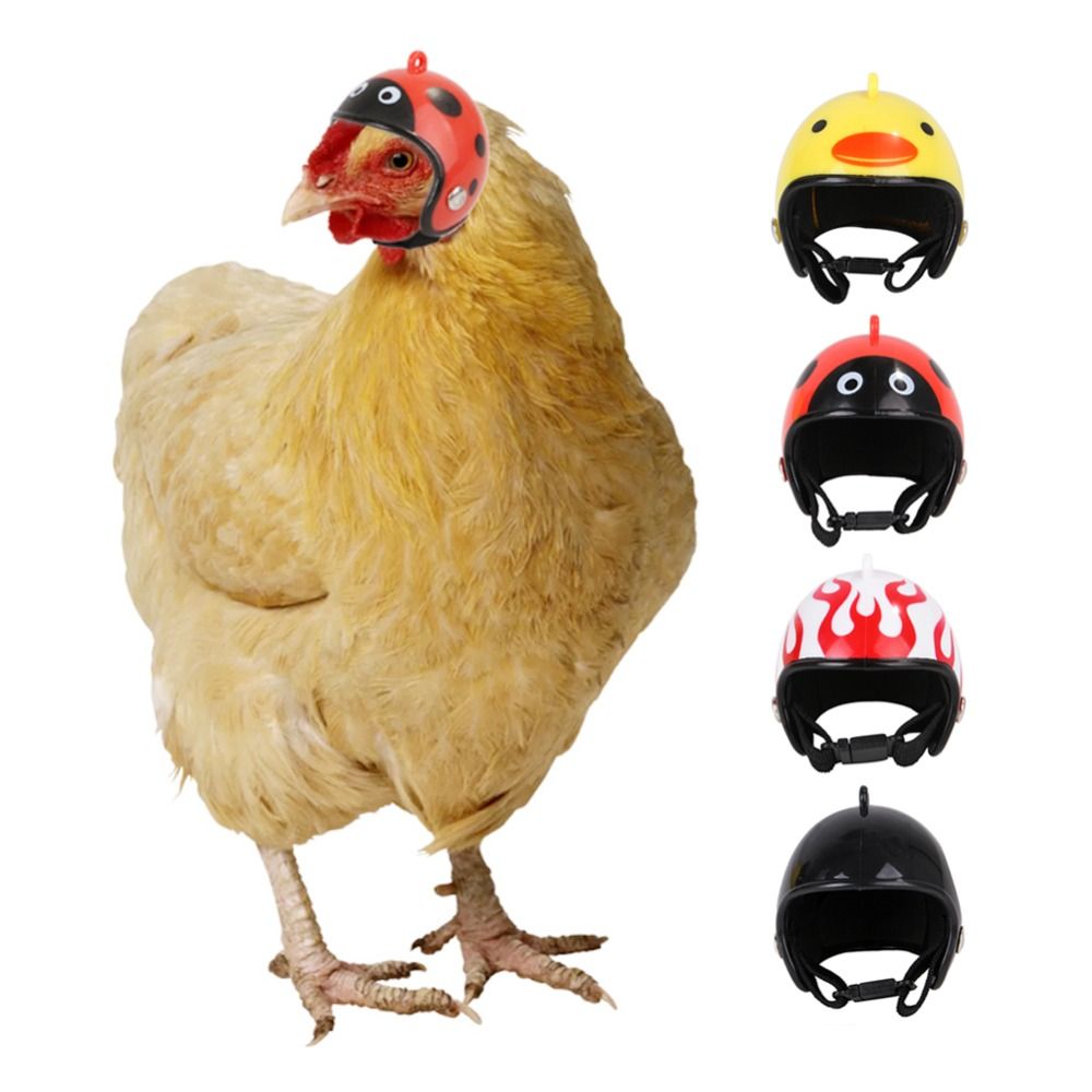 Pet X Supplies & Tack - ABS Evcil Hayvan Malzemeleri Komik Evcil