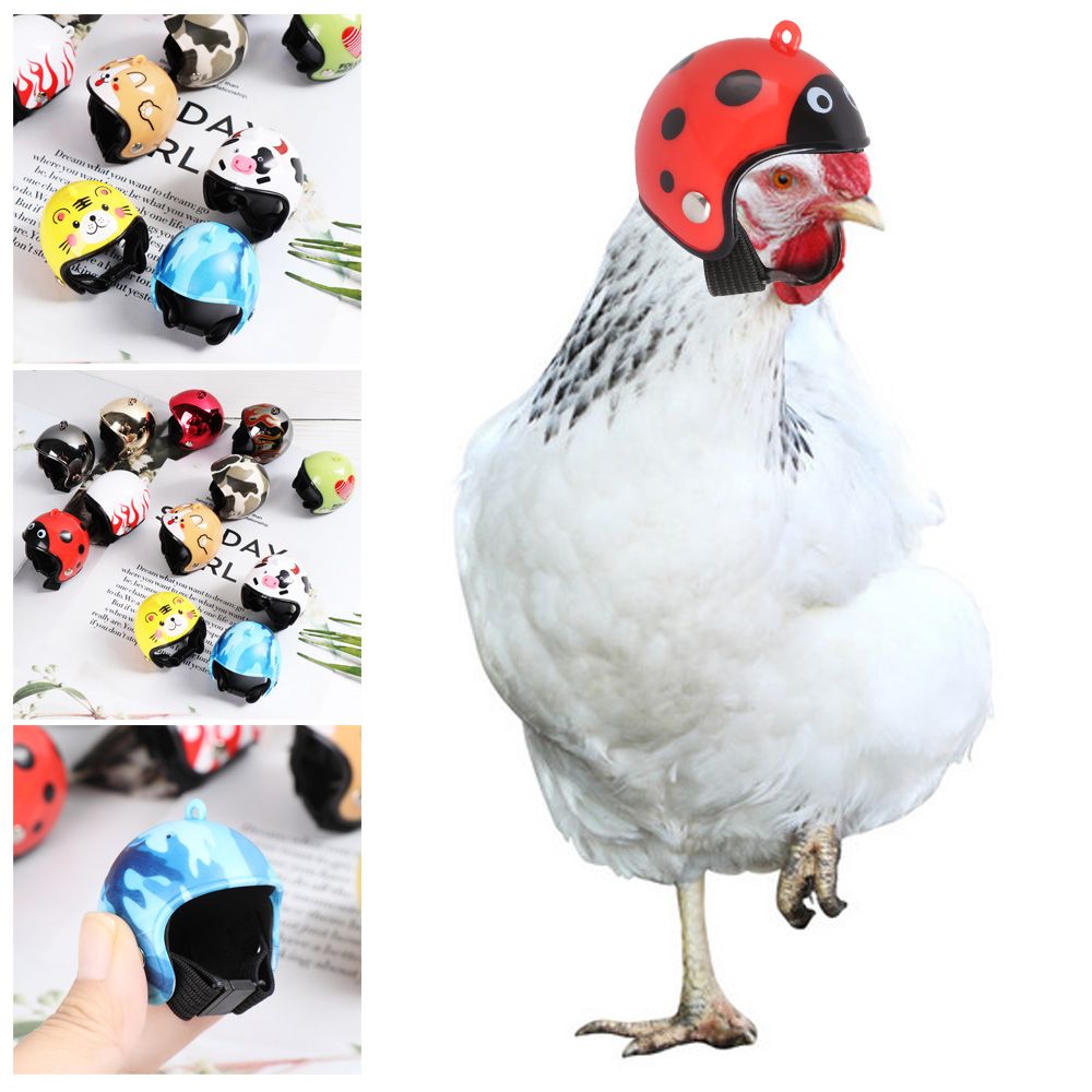 Pet X Supplies & Tack - ABS Komik Evcil Hayvan Malzemeleri Evcil