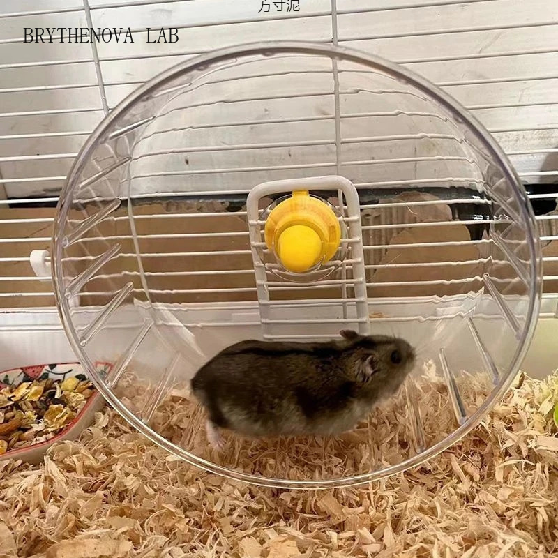 Hamster Koşu Çarkı, Standlı, Ş - Hamster Cage Wheel incelemesi ve fiyatı