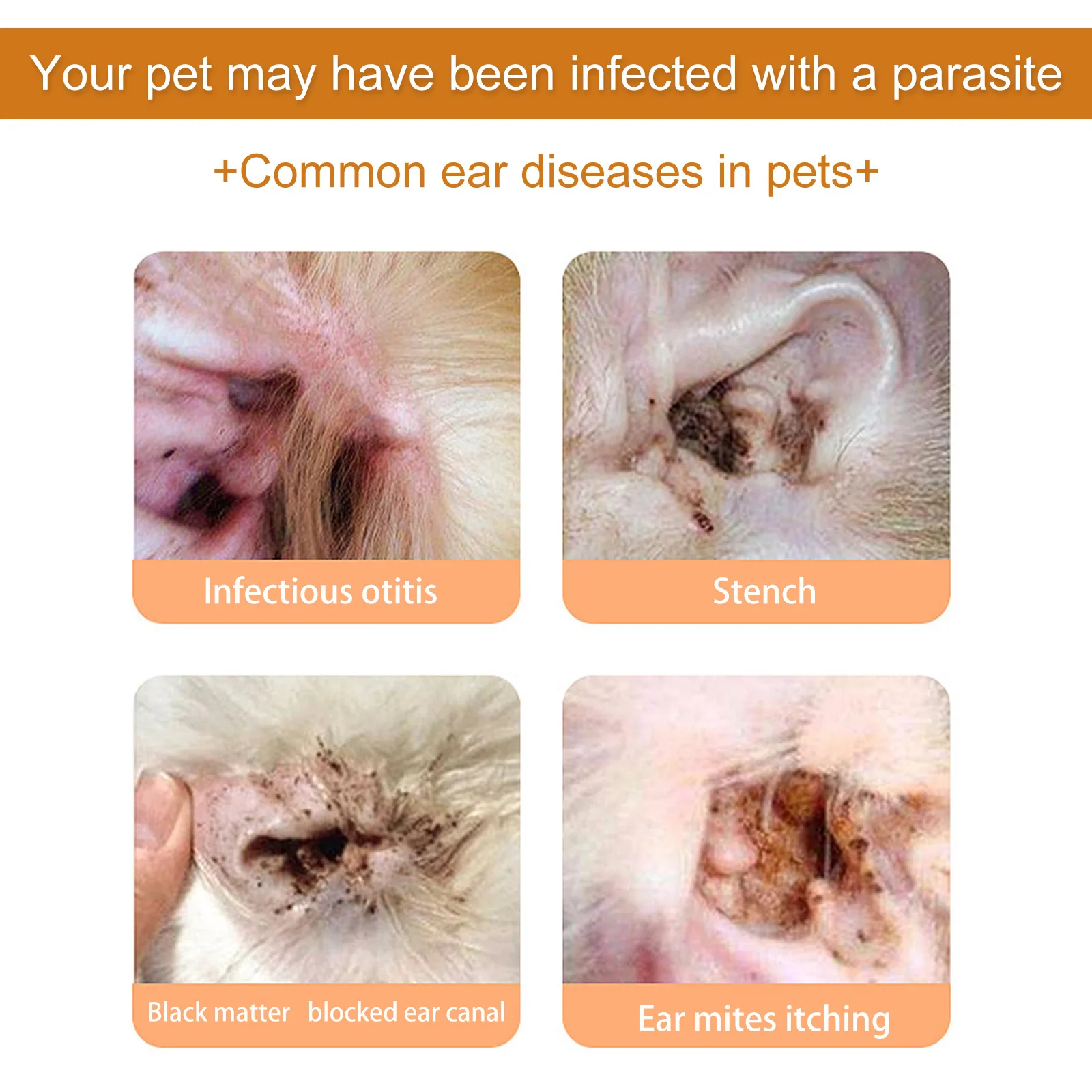 Evcil Hayvanlar Kulak Temizley - Pet Ear Cleaner incelemesi ve fiyatı