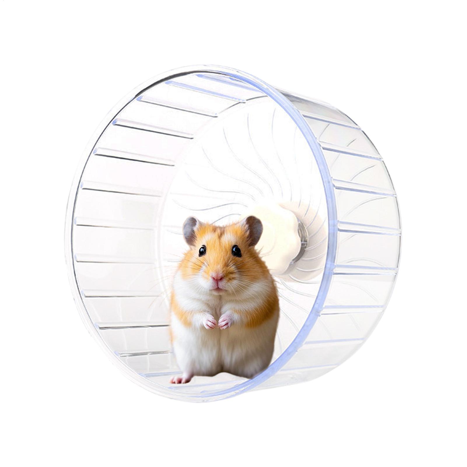 Hamster Koşu Sporu Şeffaf Geni - Hamster Cage Wheel incelemesi ve fiyatı