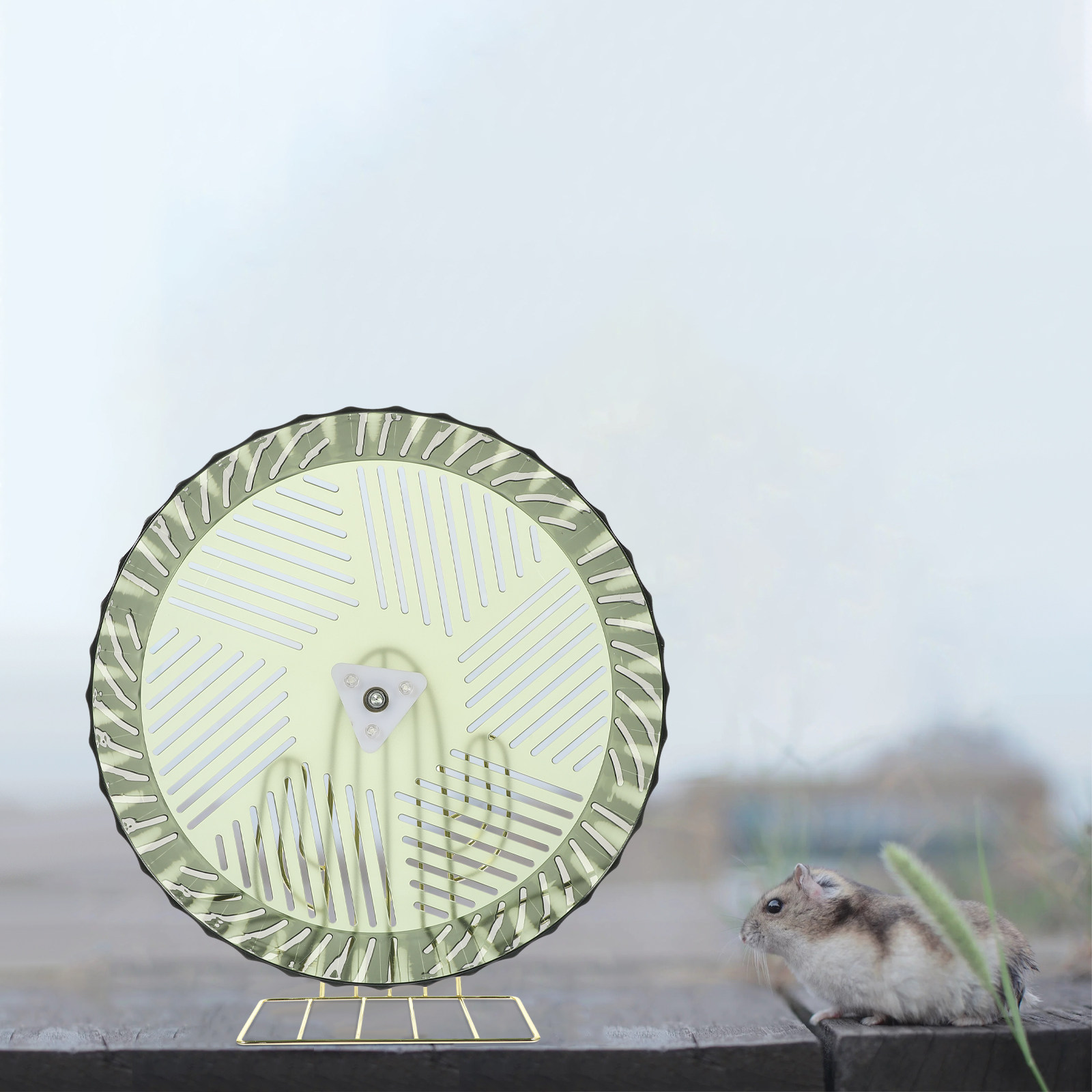 Sağlıklı Büyüme Hamster Tekerl - Hamster Cage Wheel incelemesi ve fiyatı