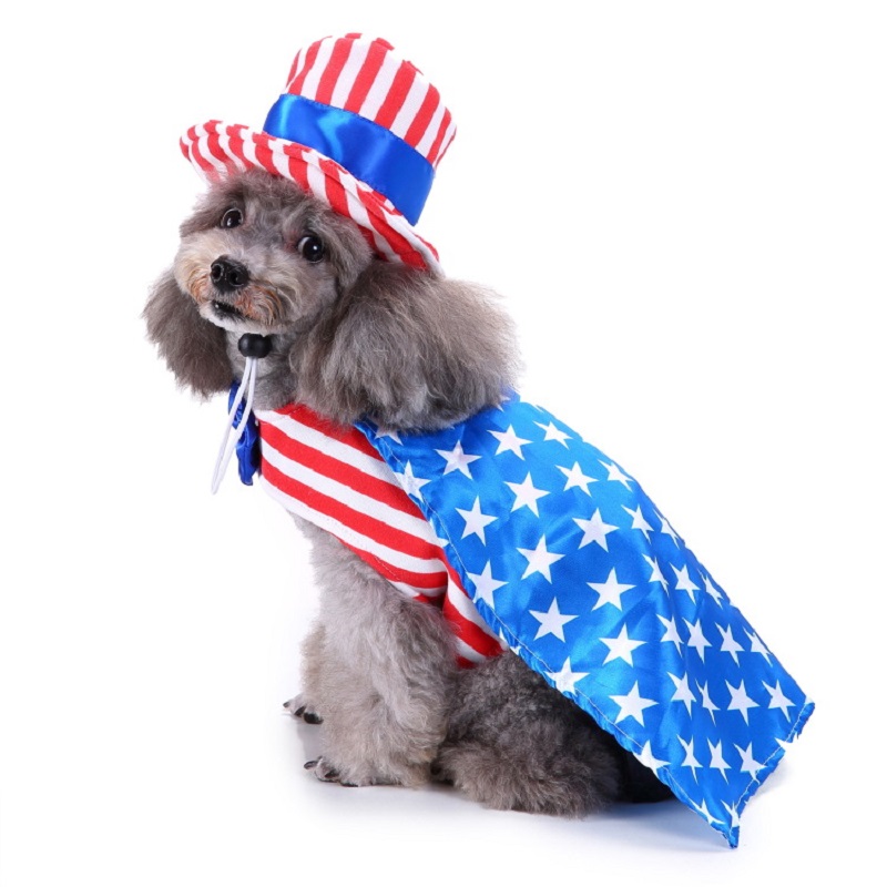Köpek Giysileri Evcil Hayvan M - Pet Supplies And More incelemesi ve fiyatı