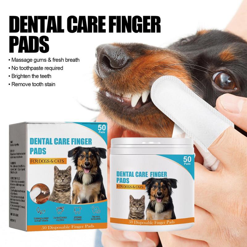 50 adet önceden düzeltilmiş ev - Pet Ear Cleaner incelemesi ve fiyatı