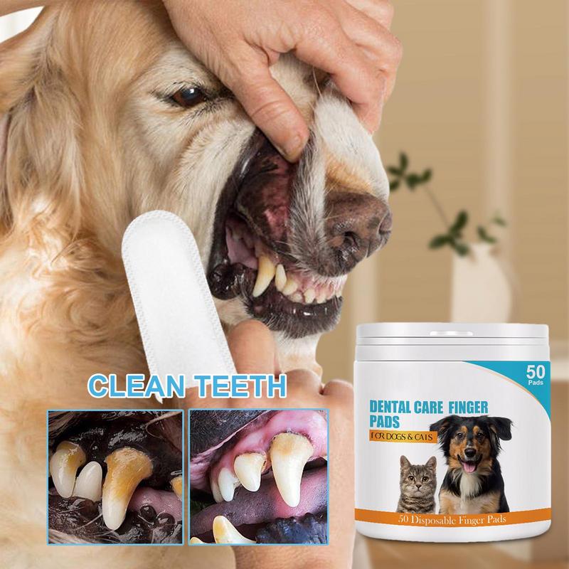 50 adet önceden düzeltilmiş ev - Pet Ear Cleaner incelemesi ve fiyatı