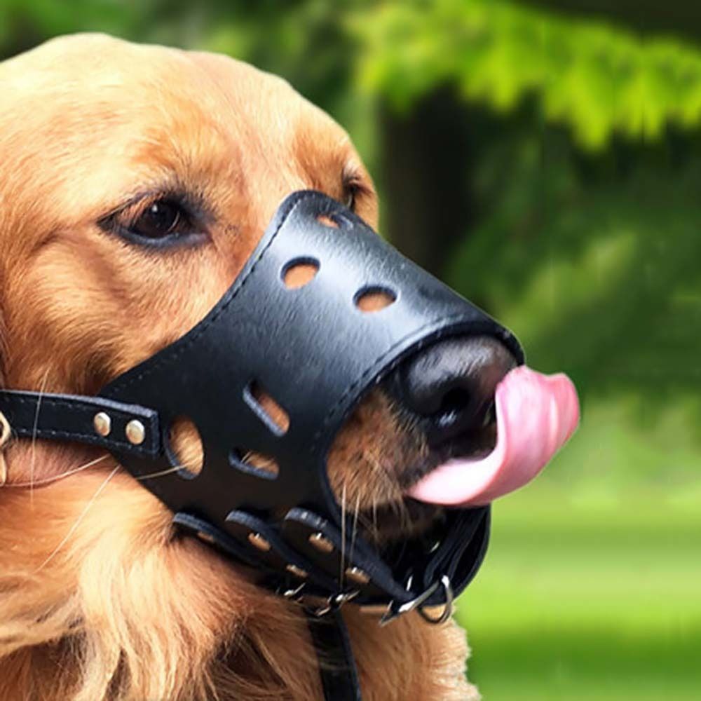 Anti-ısırma Güvenli Anti Bark  - Pet Supplies Co incelemesi ve fiyatı