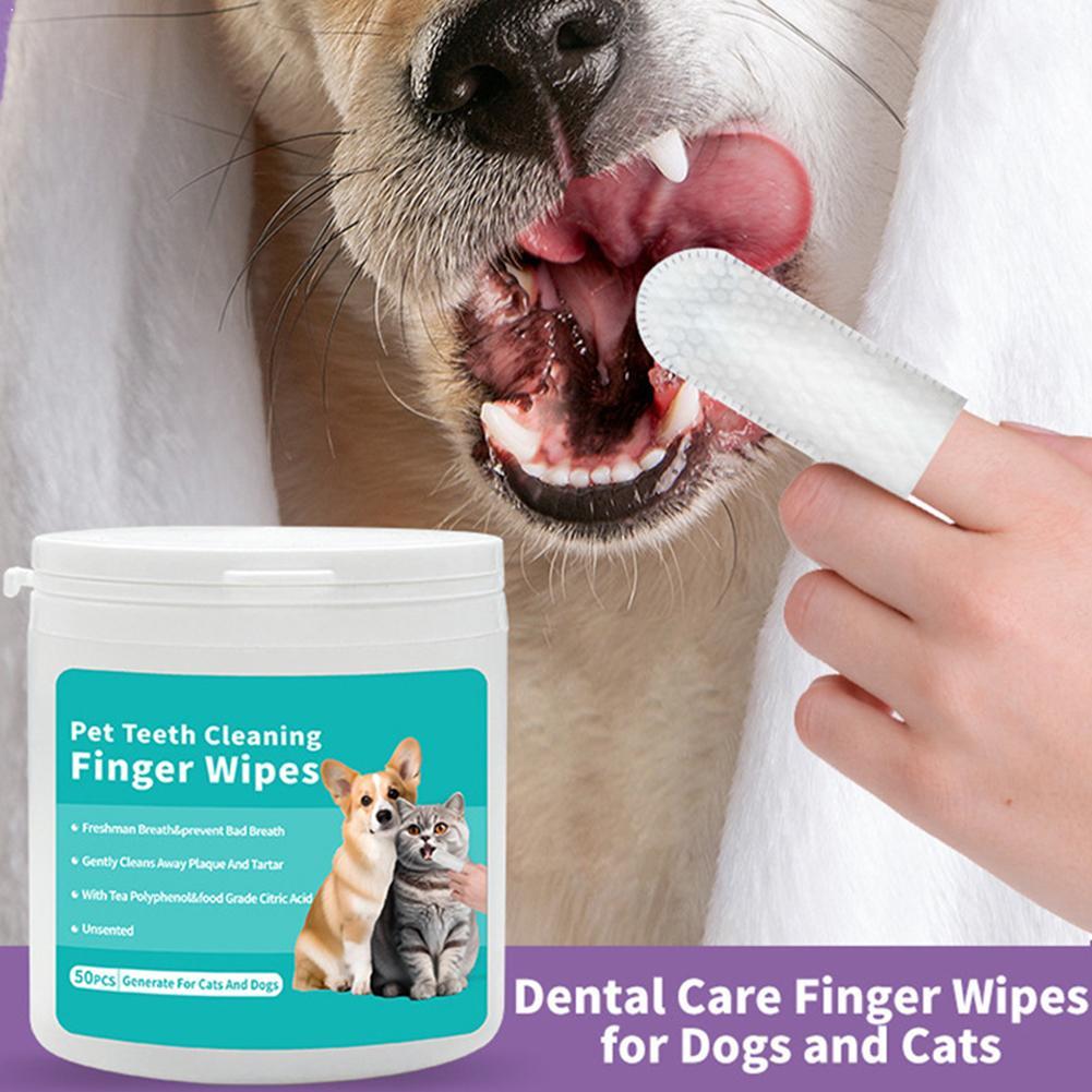 Evcil Hayvanlar İçin Diş Temiz - Pet Ear Cleaner incelemesi ve fiyatı