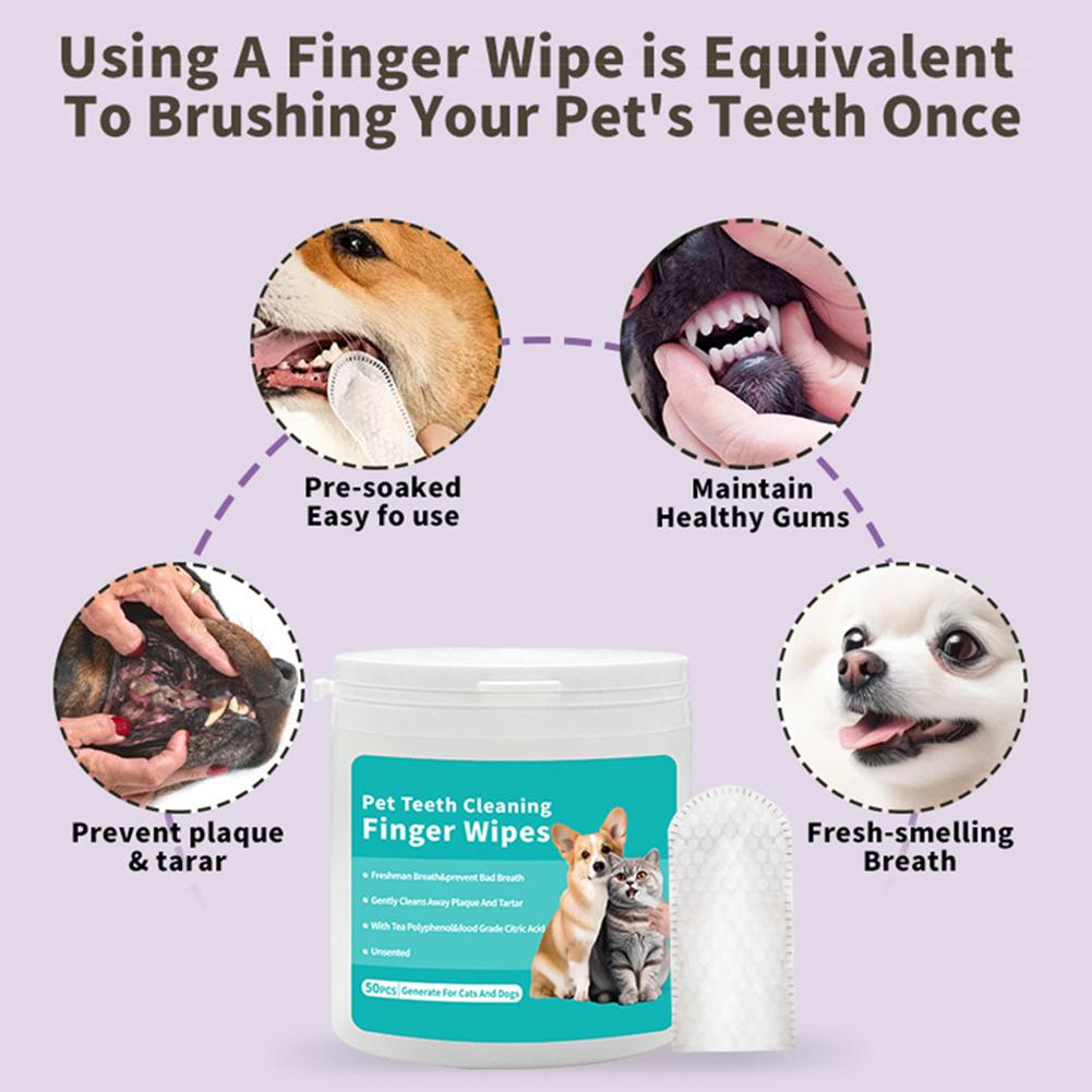 Evcil Hayvanlar İçin Diş Temiz - Pet Ear Cleaner incelemesi ve fiyatı