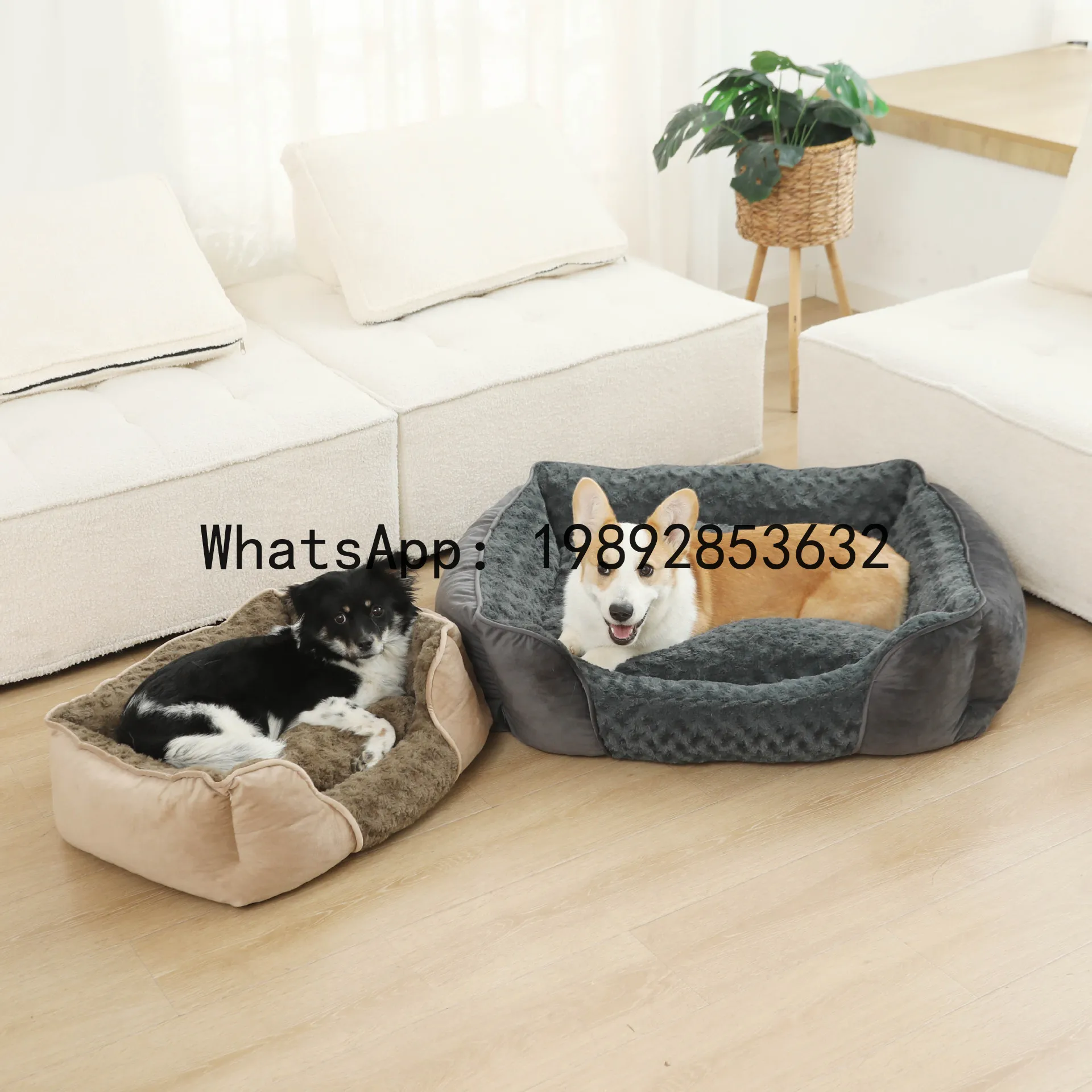 X kedi evi yarı kapalı köpek k - Pet X Supplies & Tack incelemesi ve fiyatı