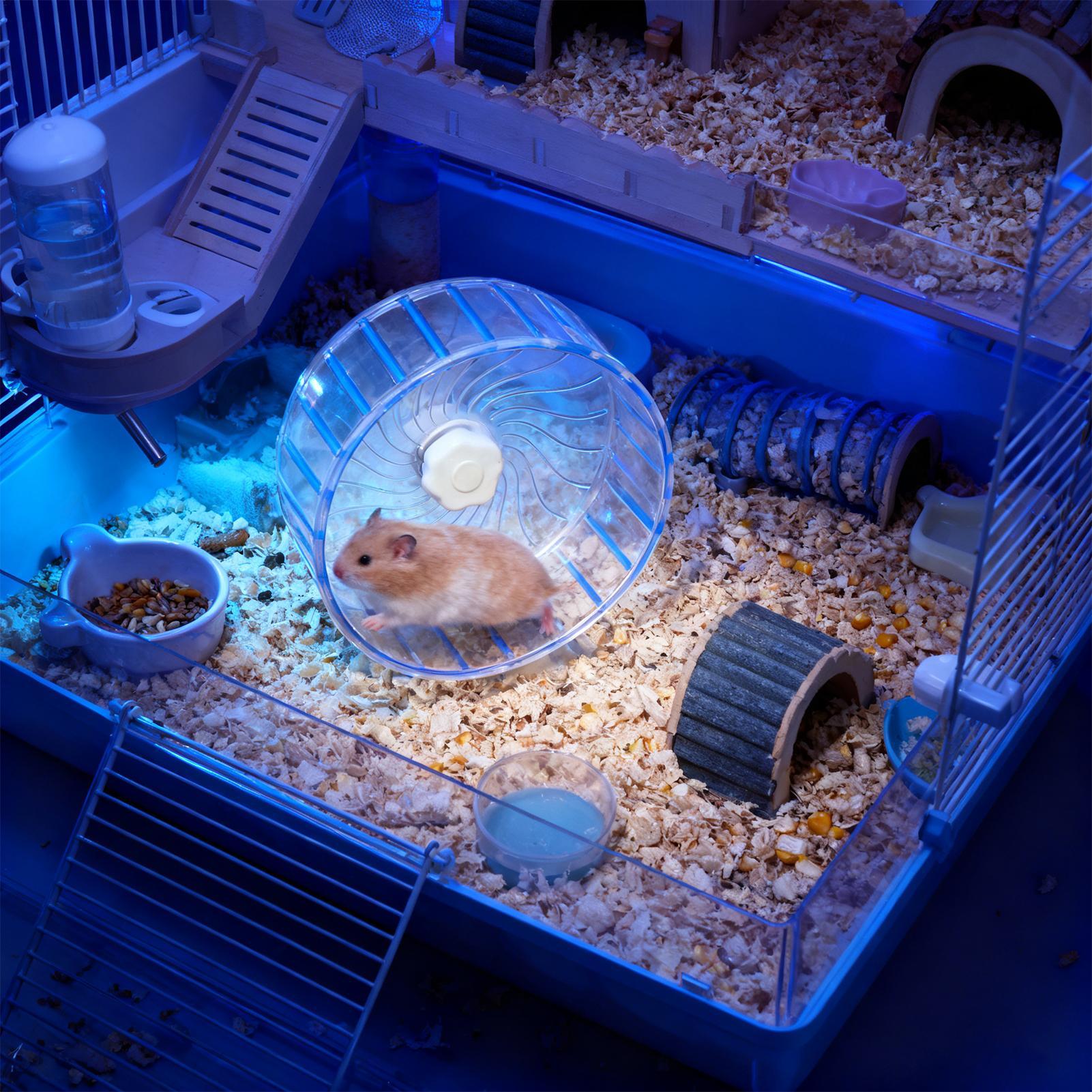 Sessiz Hamster Çarkı, Çift Rul - Hamster Cage Wheel incelemesi ve fiyatı