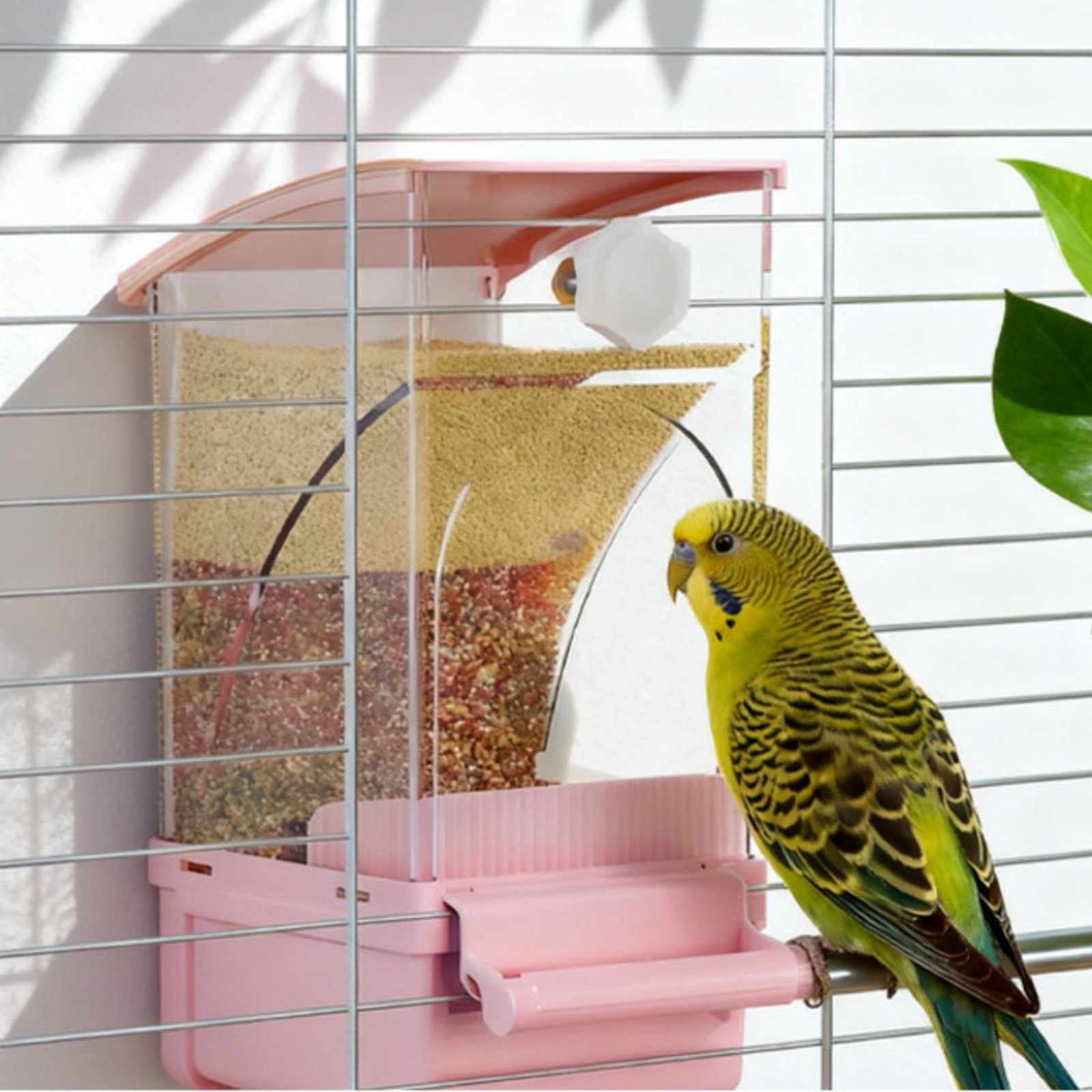 Otomatik Kuş Yemliği Kabuk Ayı - Pet Supplies In incelemesi ve fiyatı