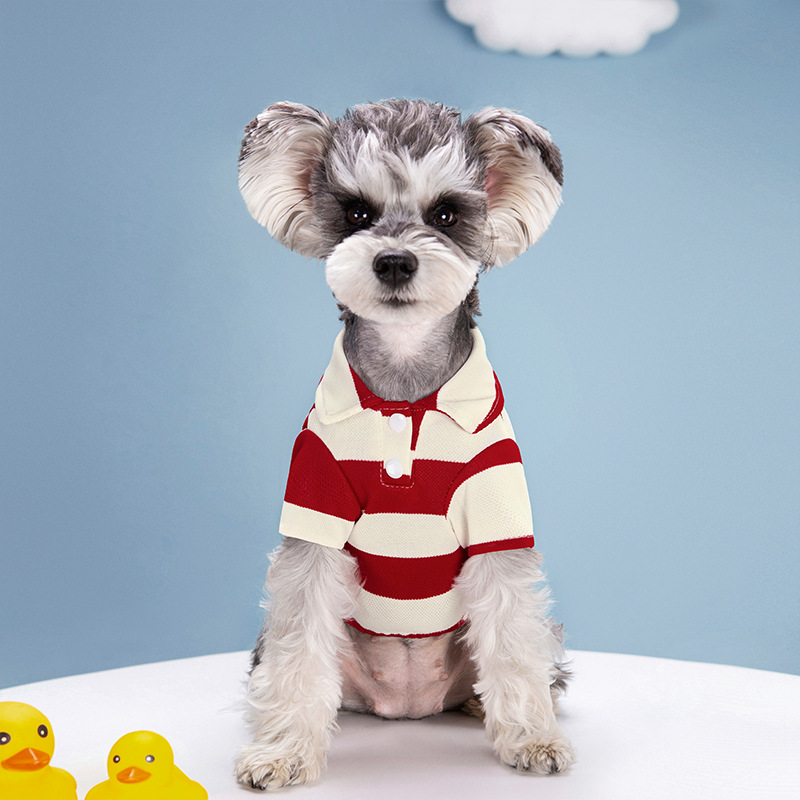 Pet Köpek Polo Gömlek Yaz Köpe - Pet Supplies Co incelemesi ve fiyatı