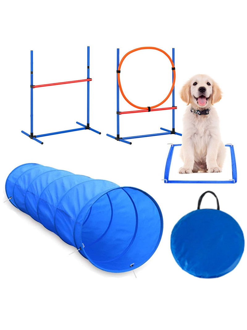 Köpek Engel Eğitim Yarışması M - Pet Supplies In incelemesi ve fiyatı