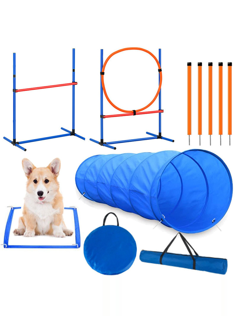 Köpek Engel Eğitim Yarışması M - Pet Supplies In incelemesi ve fiyatı