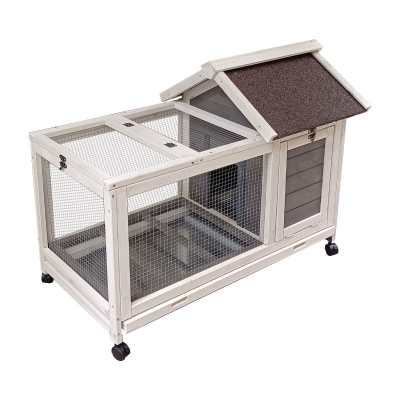 Ev İçin Ekstra Büyük Evcil Hay - Pet Supplies And More incelemesi ve fiyatı