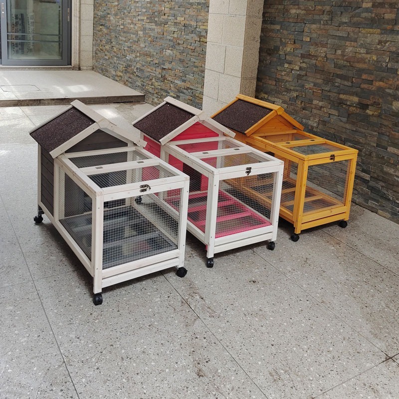 Ev İçin Ekstra Büyük Evcil Hay - Pet Supplies And More incelemesi ve fiyatı