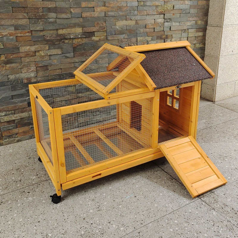 Ev İçin Ekstra Büyük Evcil Hay - Pet Supplies And More incelemesi ve fiyatı