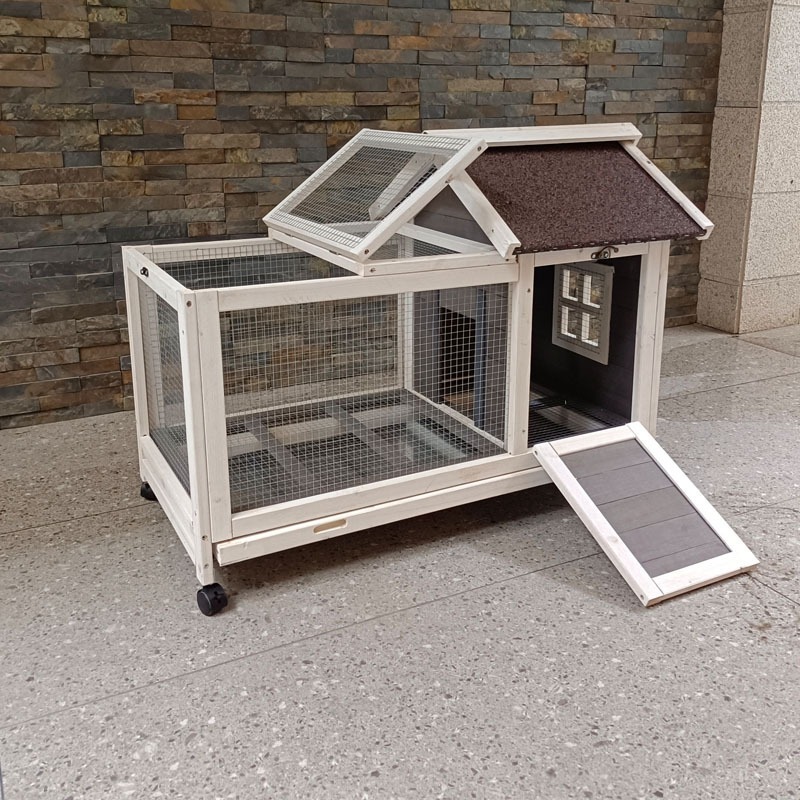 Ev İçin Ekstra Büyük Evcil Hay - Pet Supplies And More incelemesi ve fiyatı