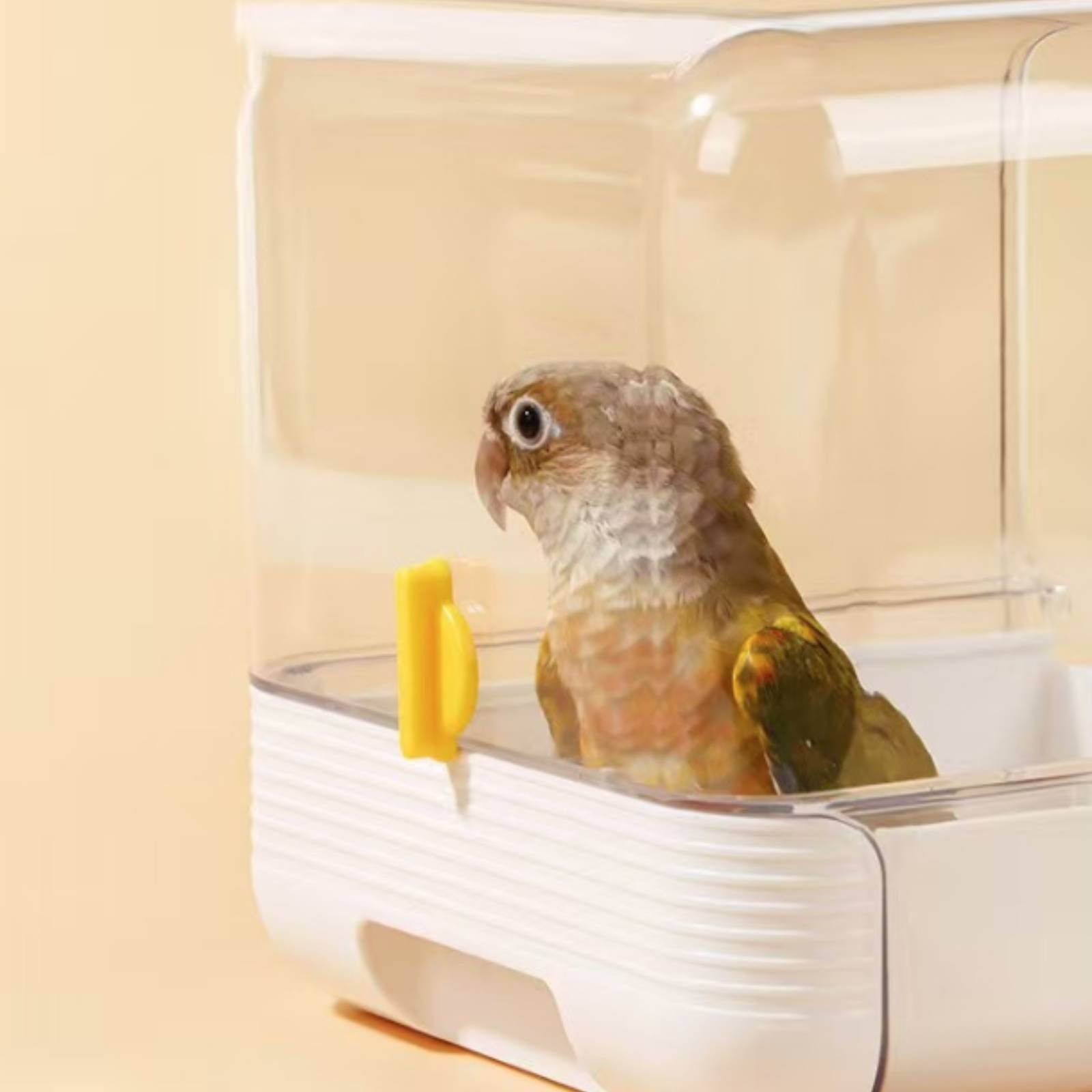Papağan Banyo Küveti Çok Fonks - Pet Supplies In incelemesi ve fiyatı