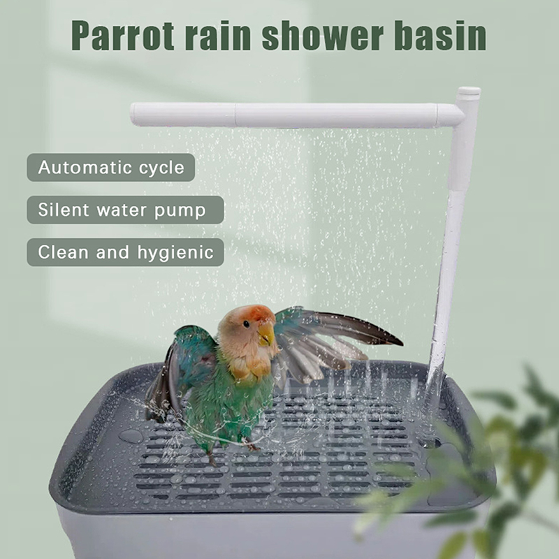 Yeni Satış 2026 Otomatik Papağ - Pet Supplies In incelemesi ve fiyatı